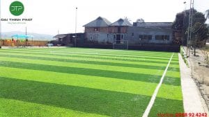 Cỏ nhân tạo Hòa Bình Conhantaofifa.com.vn