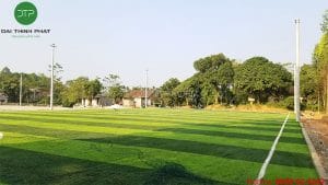 Cỏ nhân tạo Phú Thọ Đại Thịnh Phát conhataofifa.com.vn