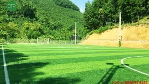 cỏ nhân tao ba vì hà nội đại thịnh phát conhantaofifa.com.vn