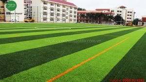 Cỏ nhân tạo Quảng Ninh đại thịnh phát conhantaofifa.com.vn