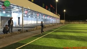 co nhan tao Đại Thinh Phát 1