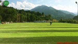 Co nhan tao DTP32 - 2