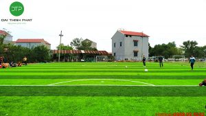 Cỏ nhân tạo Yên Phong Bắc Ninh Đại Thịnh Phát conhantaofifa.com.vn