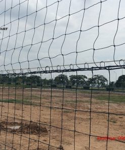 Chiều cao lưới chắn sân bóng mini là bao nhiêu_cỏ nhân tạo đại thịnh phát conhantaofifa.com.vn