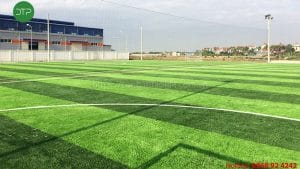 Cỏ nhân tạo Hải Phòng Đại Thịnh phát conhantaofifa.com.vn