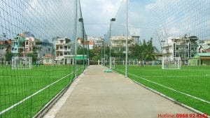 Cỏ nhân tạo Đai Thịnh Phát conhantaofifa.com.vn